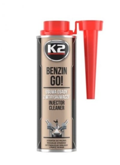 Buy Gasoline Go 250 ml Gasoline Injector Cleaner in Saudi Arabia