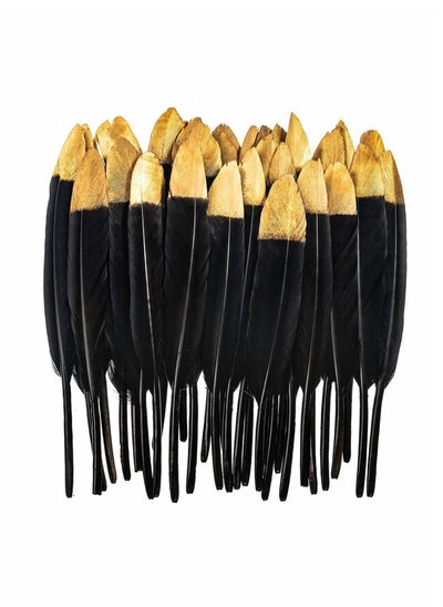 اشتري Metallic Gold Dipped Black Feathers, 30 pcs 4-6 Inches Party Decor Feathers في السعودية