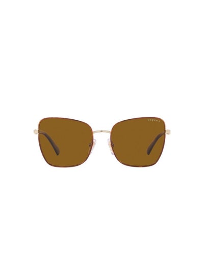 Buy Full Rim Square Sunglasses 4277SB-56-5078-83 in Egypt