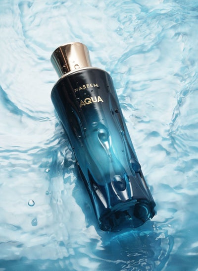 Buy Naseem Aqua perfume 80ml in UAE