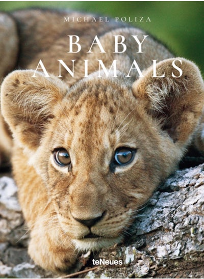 اشتري Baby Animals في الامارات