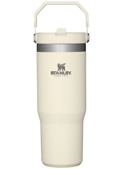 Buy Stanley Large Capacity Insulated Water Bottle in Saudi Arabia