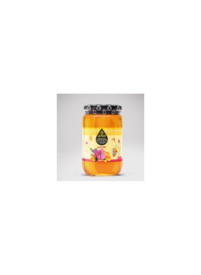 Buy Saegh honey 800 g in Egypt