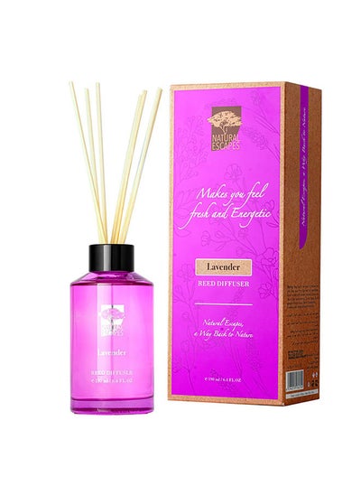 اشتري Natural Escapes Lavender Reed Diffuser 190 ml Therapeutic Grade Scented Oil For Living Room Bed Room Kitchen Bathroom Essential Oil For Fragrance Diffusers Violet في الامارات