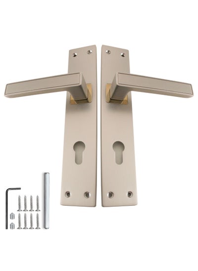 Buy Mortise Zinc door Handle (CD-011-MSN-RGP) in Saudi Arabia