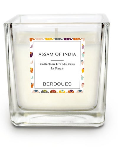 Buy Berdoues Assam Of India Candle 180G in UAE