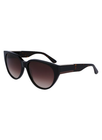 Buy Full Rim Acetate Oval Lacoste Suns L985S 5916 (001) Black in UAE