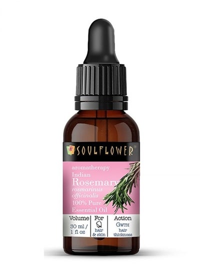 Buy Rosemary Essential Oil for Hair Growth - 30ml in UAE