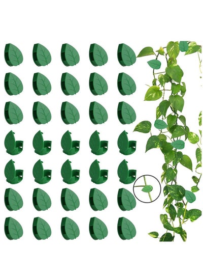 Buy 100PCS Garden Plant Climbing Wall Fixture Clips, Invisible Self-Adhesive Fixer Sticky Hook Plants Climbing Wall Support Clip for Supporting Stems Grow Upright, Vines Traction in UAE