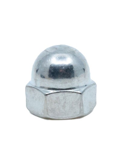 Buy Homesmiths Stainless Steel M10 Cap Nut in UAE