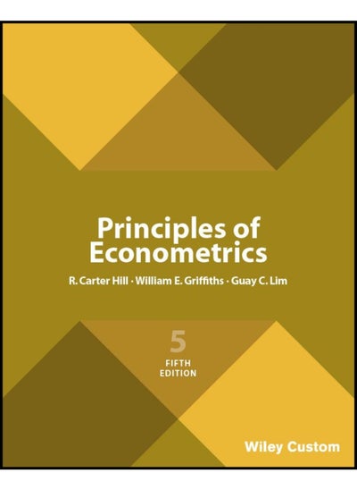 Buy Principles of Econometrics in UAE