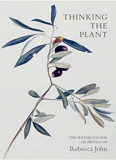 Buy Thinking the Plant : The Watercolour Drawings of Rebecca John in Saudi Arabia