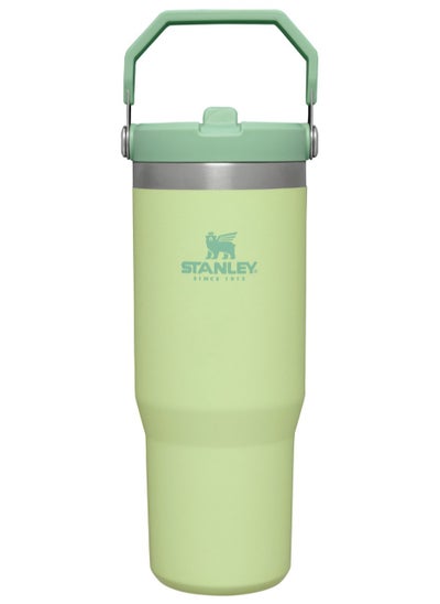 Buy Stanley Large Capacity Insulated Water Bottle in Saudi Arabia