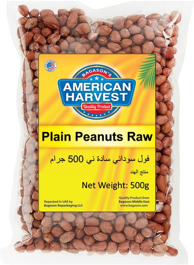 Buy Raw Peanuts 500grams in UAE