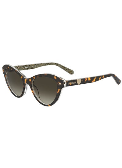 Buy Women Cat Eye Sunglasses MOL046/S  PTT HVN 52 in UAE