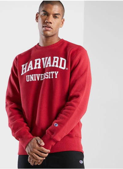 Buy Logo Knit Sweatshirt in UAE