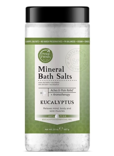 Buy Eucalyptus Mineral Bath Salts White 20ounce in UAE