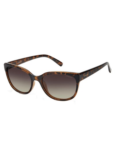 Buy Women Rectangular Sunglasses PLD 4030/S  DK HAVANA 55 in Saudi Arabia