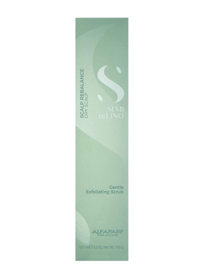 Buy ALFAPARF Scalp Rebalance Gentle Exfoliating Scrub,150ml in UAE