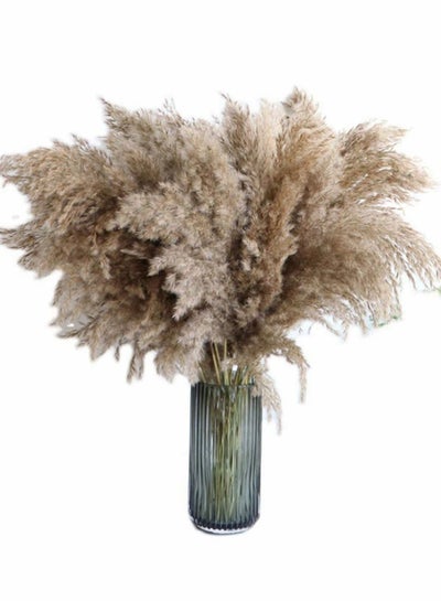 Buy Pampas Grass Large - 25 Stems of 60cm, Natural Large Pampas Grass. Dried Pampas Grass Decor Wedding Flower Bunch Natural Plants Decor Reed Flower Bouquet in UAE