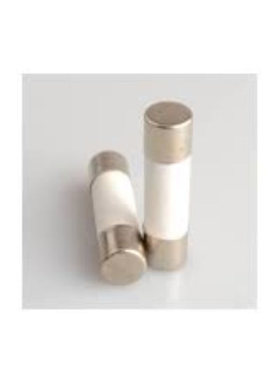 اشتري KNP 13A Electrical Ceramic Tube Fuses (5x20 mm) are protective devices designed to interrupt electrical circuits when the current exceeds 13 amperes. في الامارات