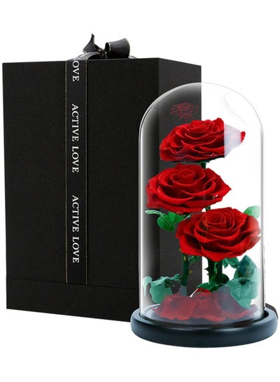 Buy Large-size Forever Red Rose, Real Eternal Rose in Glass Dome Preserved Flower with Luxury Gift Box - Gift for  Mother's Day Wedding Anniversary Birthday (Three Roses) in UAE