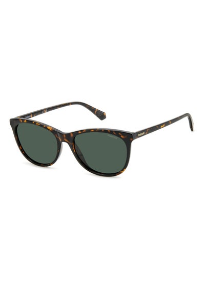 اشتري Women's Polarized Rectangular Shape  Sunglasses PLD 4161/S GREEN 44 - Lens Size: 43.7 Mm - Hvn في السعودية