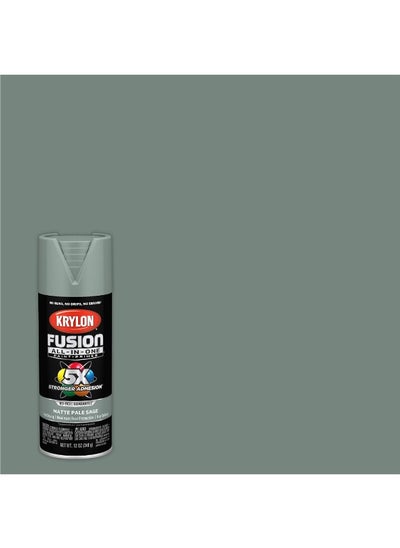 اشتري Fusion All-In-One Adhesive Spray Paint for Indoor/Outdoor Use, 12 oz, Pale Sage في الامارات