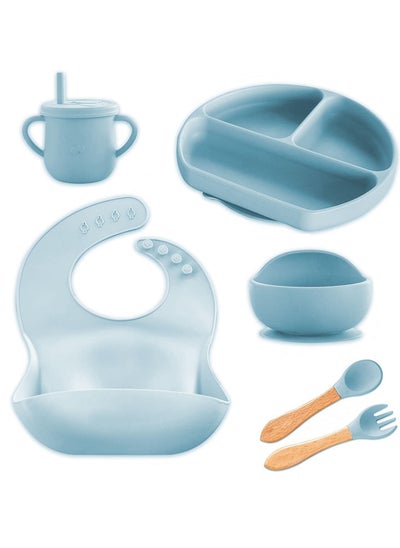 Buy 6 Pcs Silicone Baby Feeding Set, Baby Led Weaning Set, Feeding Supplies for Toddlers New Born Baby Gift Set, Suction Silicone Baby Plate with Divider,Baby Feeder,Bib,Spoon (SKY BLUE) in UAE