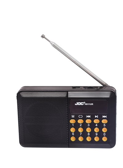 اشتري جوك راديو رقمي محمول H011UR يدعم الفلاش وبطاقة الذاكرة - اسود في مصر