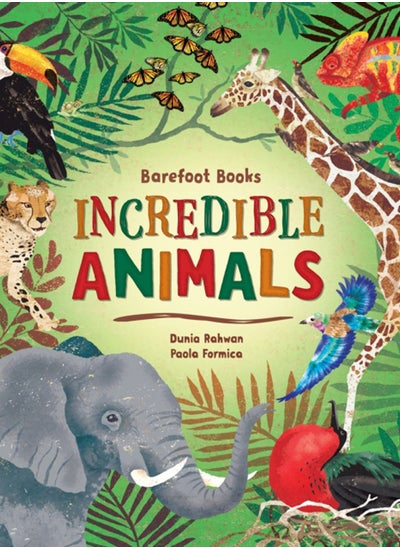 اشتري Barefoot Books Incredible Animals في السعودية