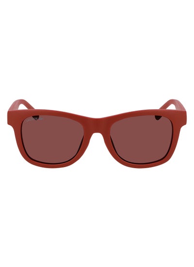 Buy Full Rim Injected Modified Rectangle Sunglasses L3643SRG 4817 (604) in UAE