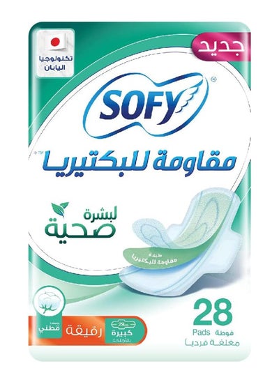 Buy Slim Anti Bacteria Sanitary Napkin, Large, 29 Cm, 28 Pieces in UAE