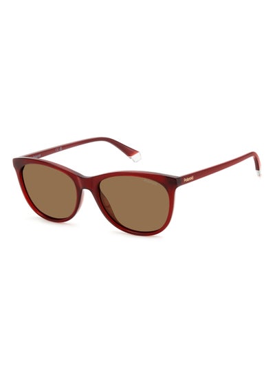 Buy Women's Polarized Rectangular Shape  Sunglasses PLD 4161/S GOLD 44 - Lens Size: 43.7 Mm - Burgundy in UAE