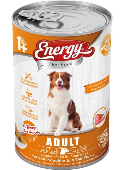 Wet dog food for sales older dogs