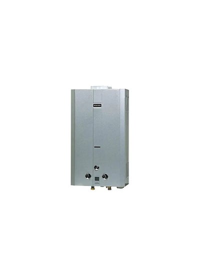 Buy White Point WPGWH Gas Water Heater, 10 Liter - Silver in Egypt