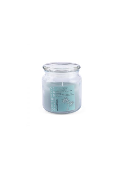 Buy Indulgence Jar Candle 280gm Ocean Breeze in UAE