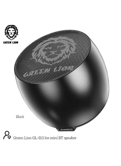 Buy Green Lion Mini Pro Speaker - Black in UAE