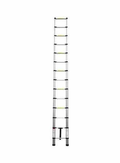 Buy Folding Telescopic Ladder Silver 3.8 m in Saudi Arabia