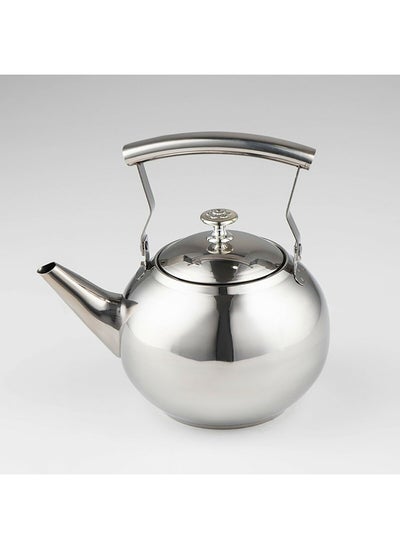 Buy Home Pro Tea Pot, 1L with Leak inside, Stainless Steel in UAE