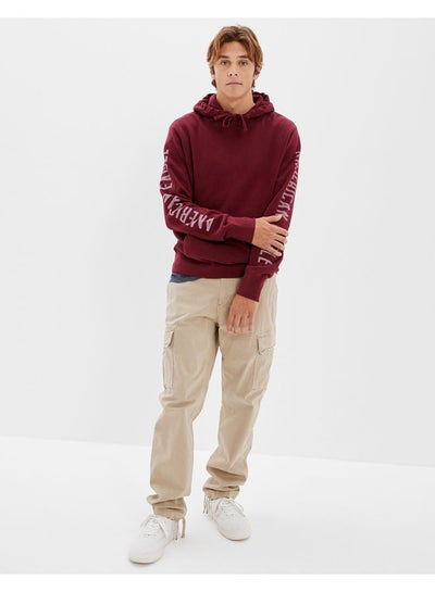 AE Super Soft Fleece Icon Graphic Hoodie price in Egypt | Noon Egypt |  kanbkam