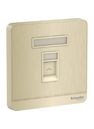 Buy Schneider Electric AvatarOn, telephone socket, metal gold hairline (Model Number-E8331RJS4_GH) in UAE