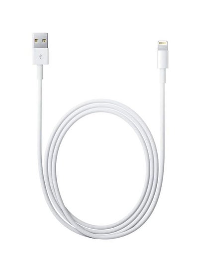 Buy Lightning to USB Cable (1 m) in Egypt