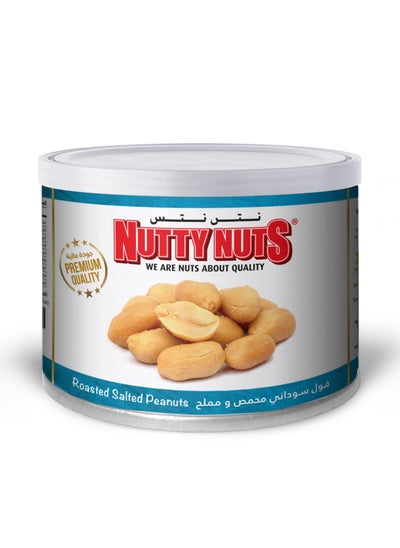 Buy Peanuts Dry Roasted & Salted 100g in UAE