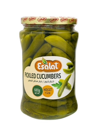 Buy Pickled Cucumbers 680grams in UAE