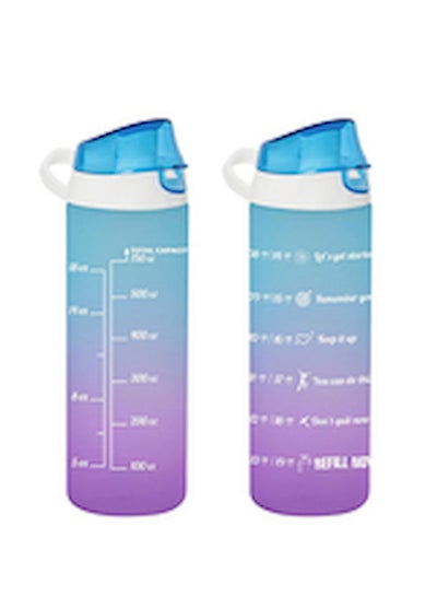 Buy Ombre Painted Sports Bottle Assorted shapes may vary in Egypt