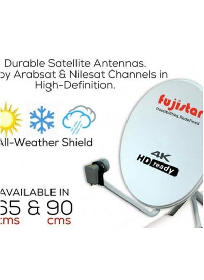 Buy Satellite dish 65 cms ground in Saudi Arabia