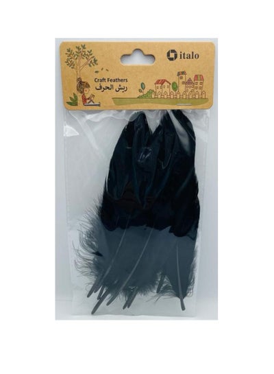 Buy 11 Pcs Feathers Crafts Goose Feathers for DIY Earrings Craft For Home Wedding Baby Shower Decorations Black in UAE