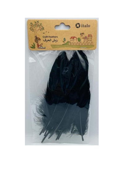 اشتري 11 Pcs Feathers Crafts Goose Feathers for DIY Earrings Craft For Home Wedding Baby Shower Decorations Black في الامارات