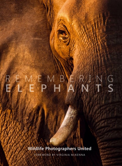 Buy Remembering Elephants : 1 in UAE